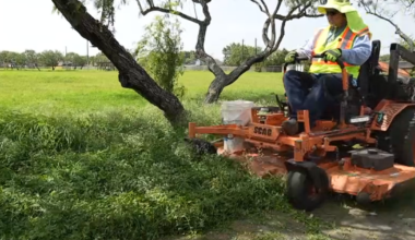 It's a jungle out there, city mowing crews tackle overgrown parks