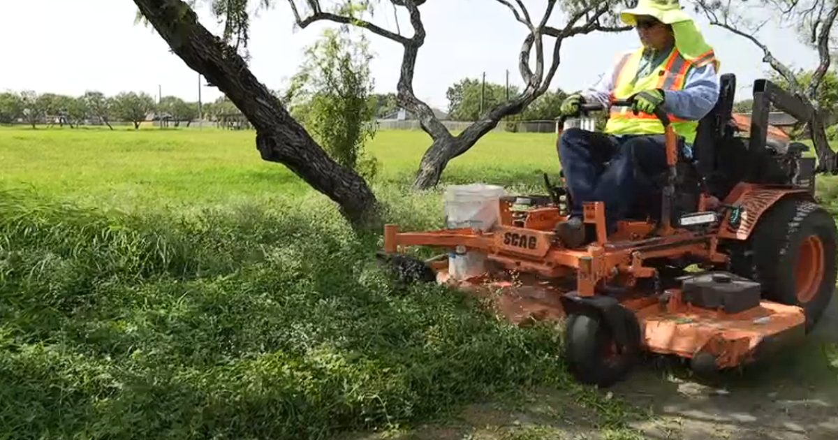 It's a jungle out there, city mowing crews tackle overgrown parks