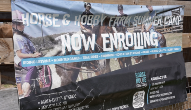 Flour Bluff camp trades screen time for saddle time