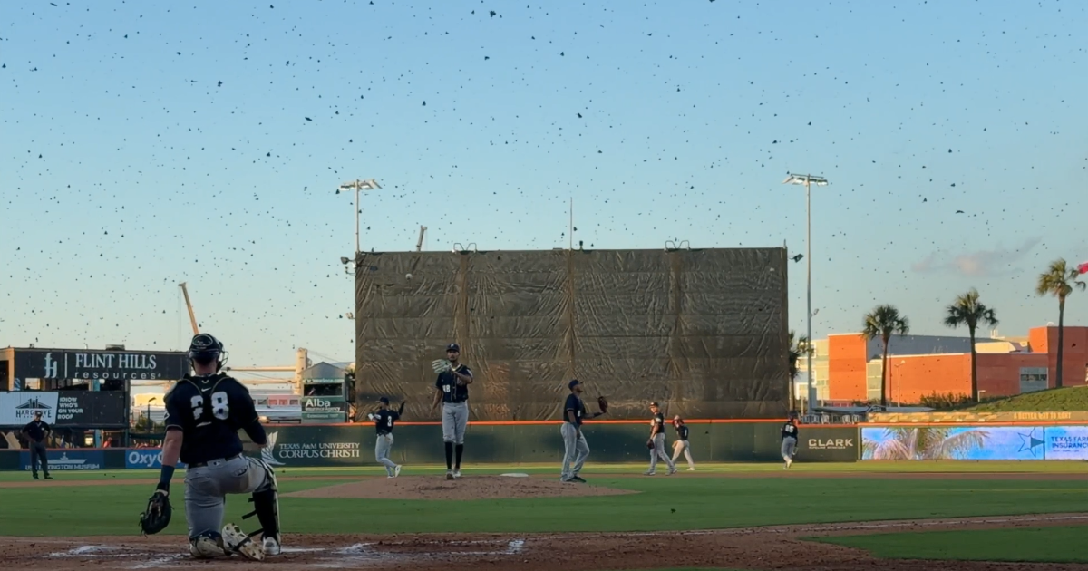 Swarms of butterflies crash Hooks double-header Wednesday night