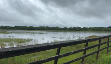 Heavy rains flood Flour Bluff, Laguna Shores and Padre Island