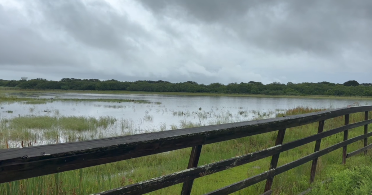 Heavy rains flood Flour Bluff, Laguna Shores and Padre Island