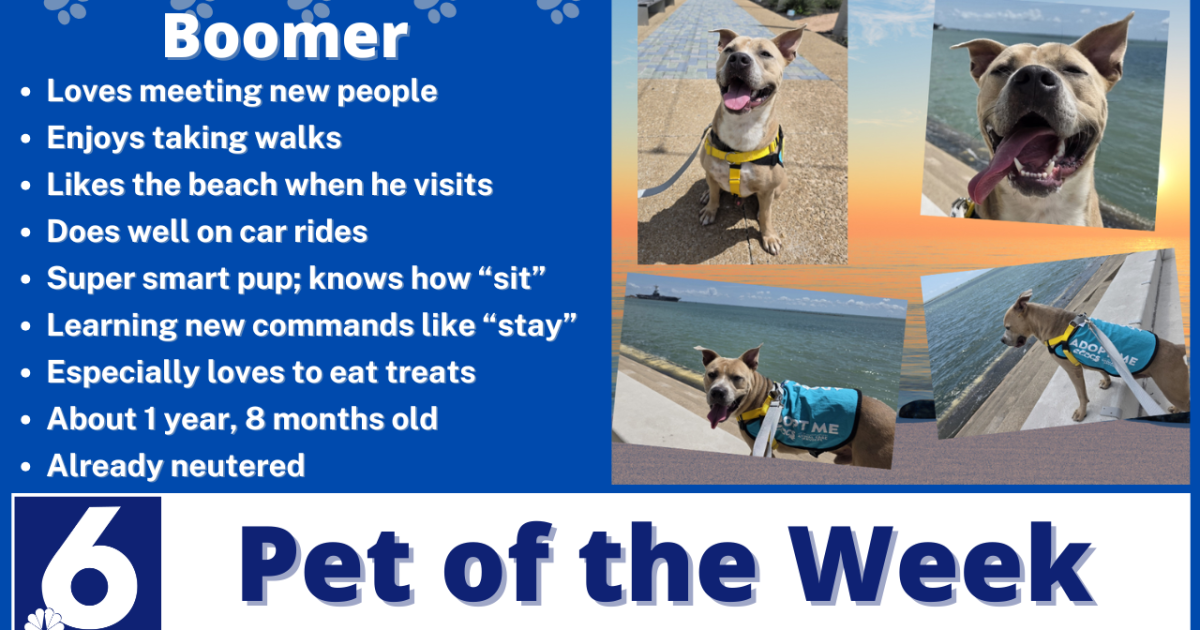 Pet of the Week: Boomer