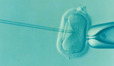 Texas GOP adopts platform opposing IVF