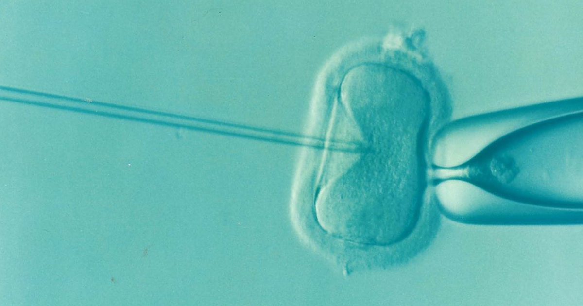 Texas GOP adopts platform opposing IVF