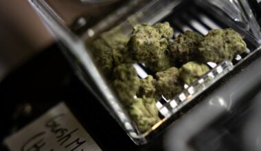 Texas rule targeting smokable hemp is back in effect
