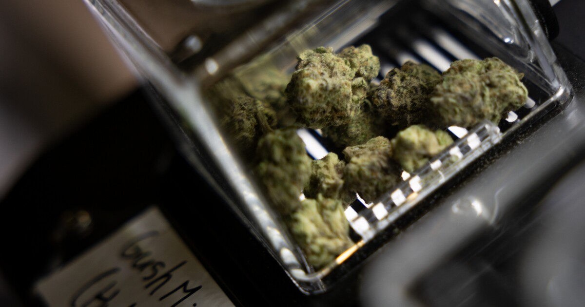 Texas rule targeting smokable hemp is back in effect