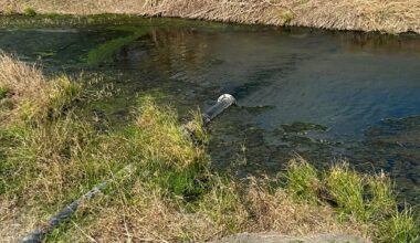 A drainage ditch and Tesla’s lithium refinery reveal Texas’ permissive permitting for industrial wastewaters