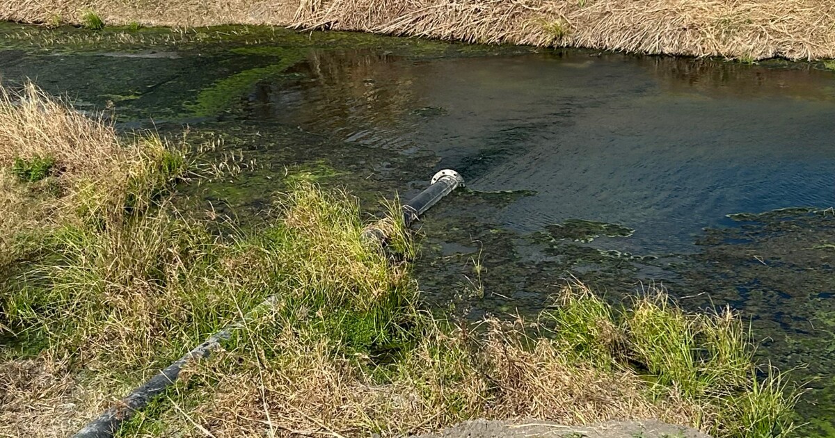 A drainage ditch and Tesla’s lithium refinery reveal Texas’ permissive permitting for industrial wastewaters