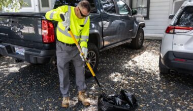 What the city of Austin does with dead animals and roadkill
