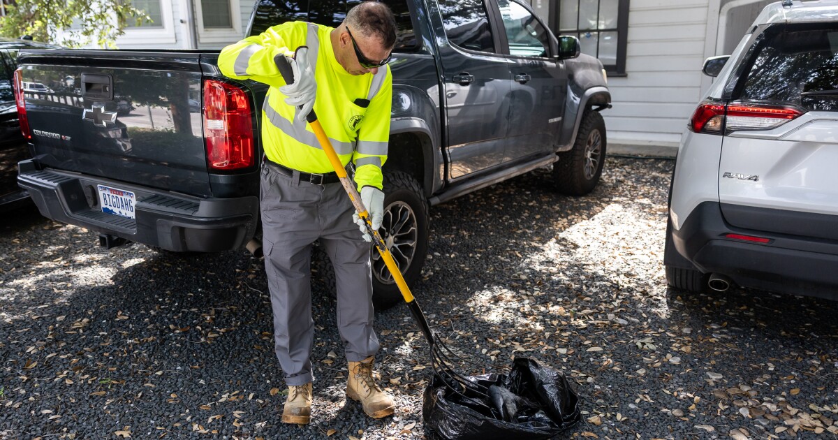 What the city of Austin does with dead animals and roadkill