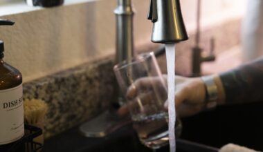 Austin neighborhood water exceeds lead limits, study finds