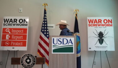 USDA finds new cases of a flesh-eating cattle parasite called screwworm