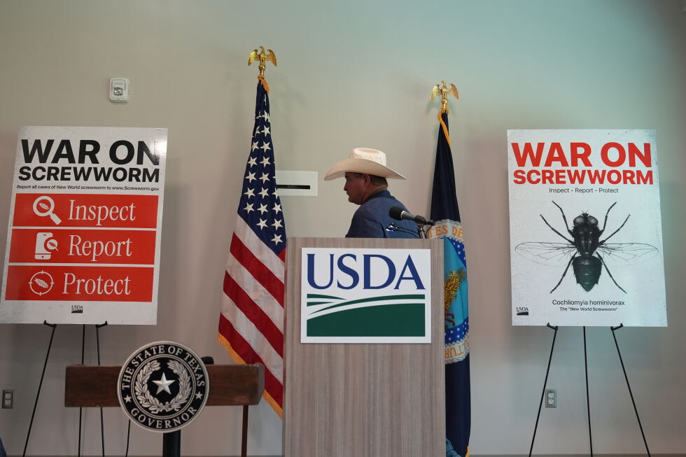 USDA finds new cases of a flesh-eating cattle parasite called screwworm