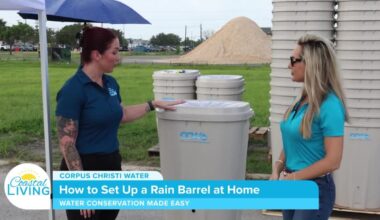 How to Set Up a Rain Barrel at Home