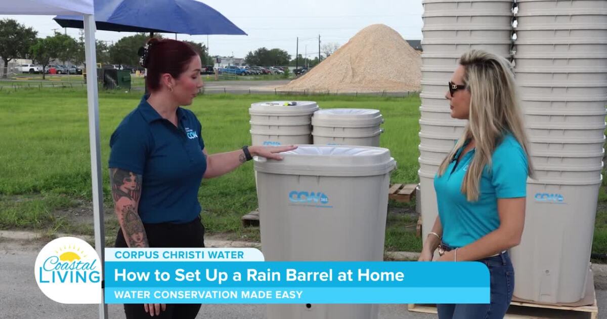 How to Set Up a Rain Barrel at Home