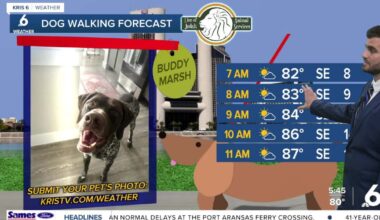 Thursday brings partly cloudy skies, with rain chances on the rise this weekend