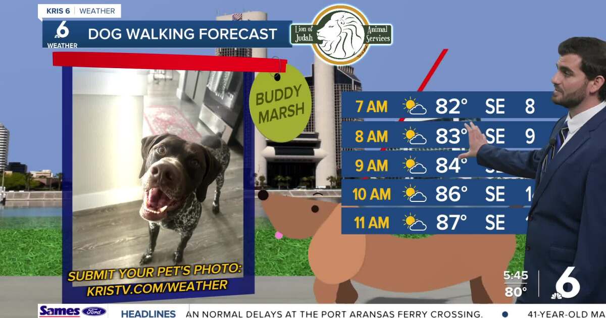 Thursday brings partly cloudy skies, with rain chances on the rise this weekend