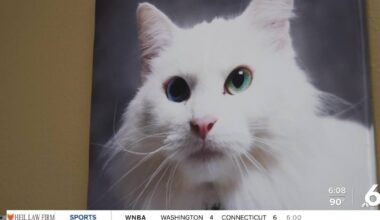 Local vet: Some pet meds already protect against screwworm