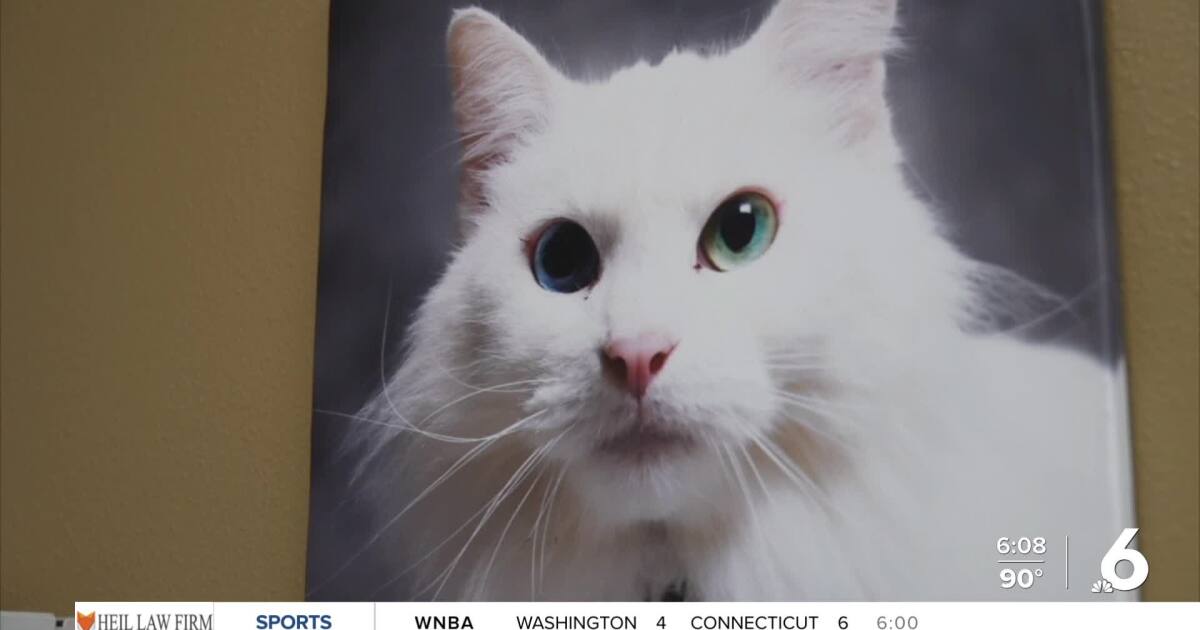 Local vet: Some pet meds already protect against screwworm