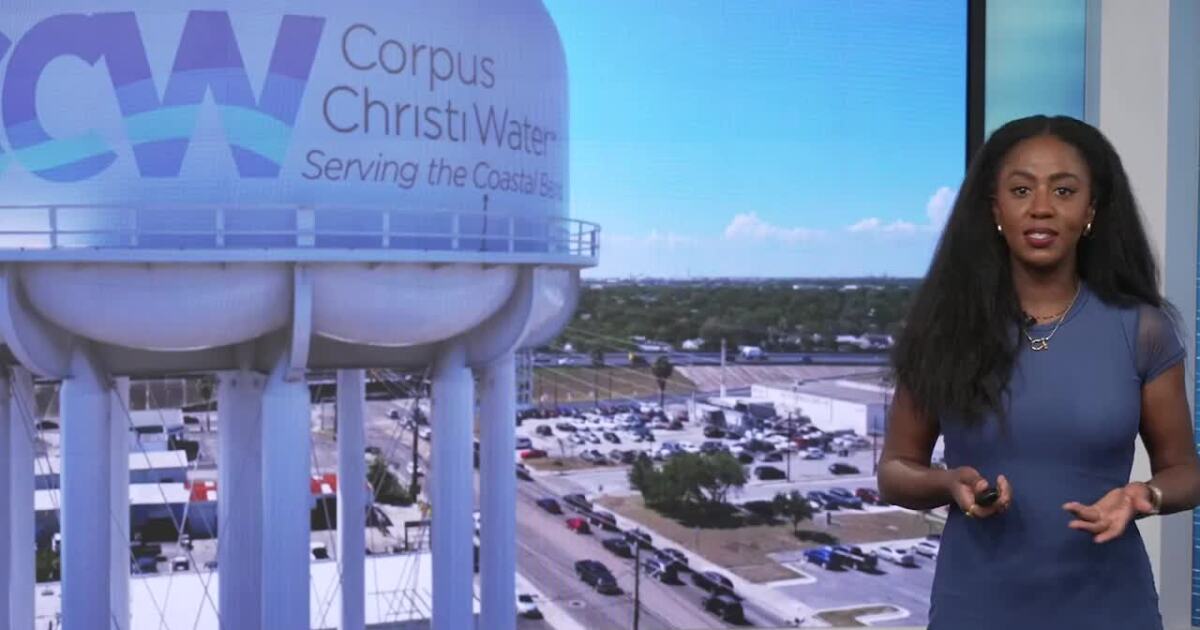 How does Corpus Christi's desal plan compare to the rest of the world?