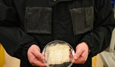 Water-harvesting jacket prototype with hydrogel panels and a fabric sample at UT Austin