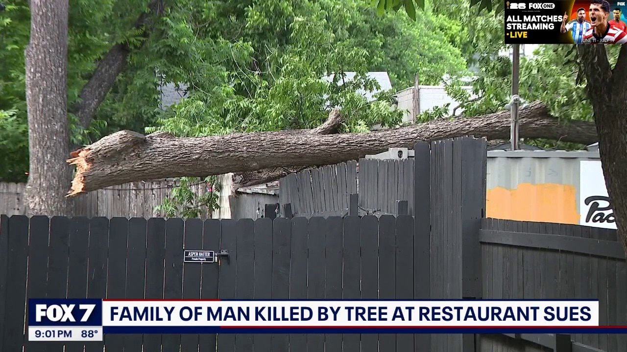 Lawsuit filed after falling tree kills man in Austin