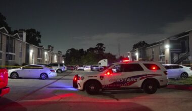 Harris County shooting: Man killed at apartment complex on Ella Blvd