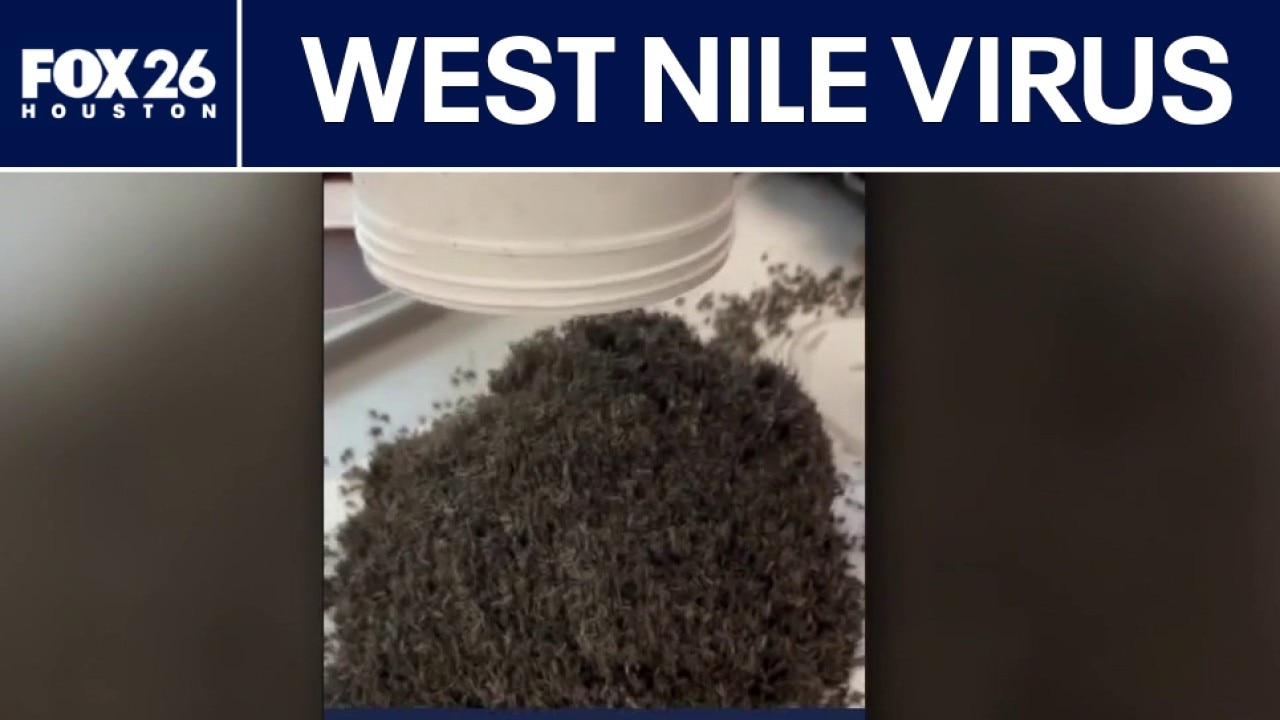 Fight continues against increase in mosquitoes