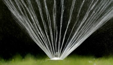 Rain, high gas costs impact Texas landscaping