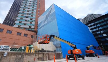 Artist suing FIFA over destruction of Dallas whale mural before World Cup