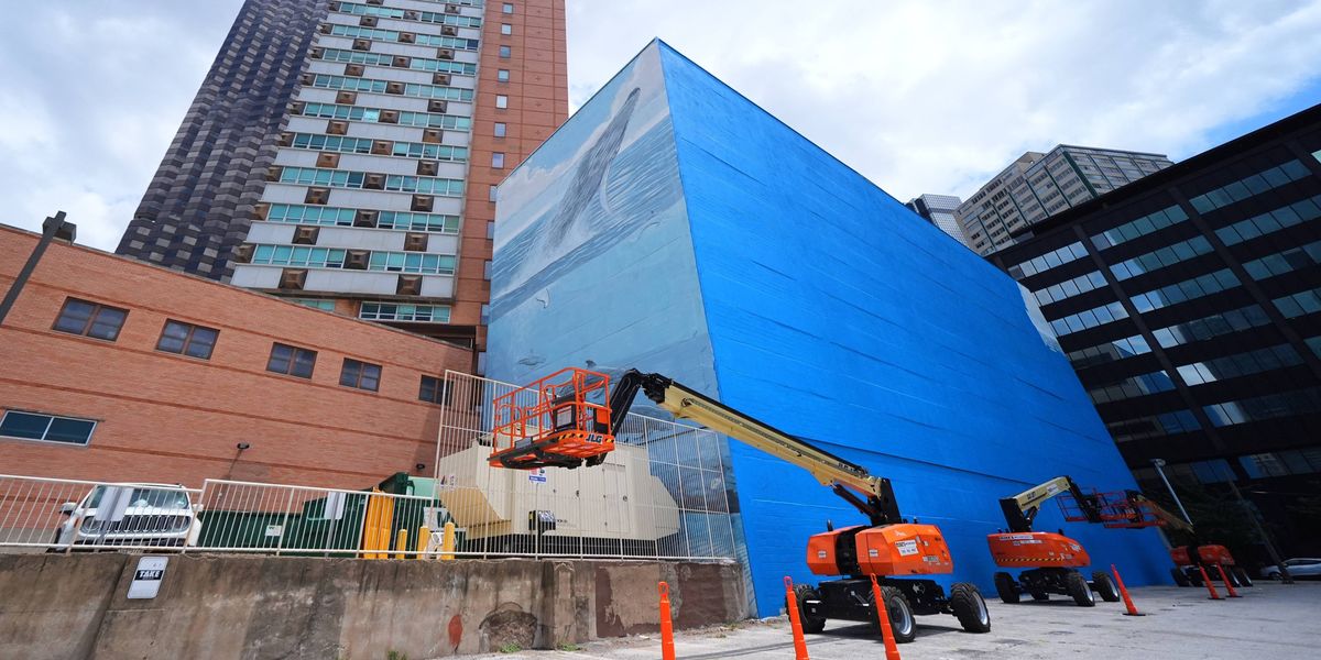 Artist suing FIFA over destruction of Dallas whale mural before World Cup