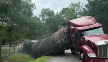 Millions of honeybees escape into a Texas neighborhood after a semitrailer crash