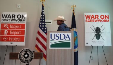 Two more Texas screwworm infections found in animals far apart, USDA says
