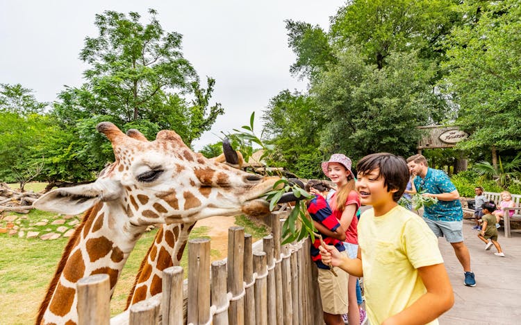 Fort Worth Zoo