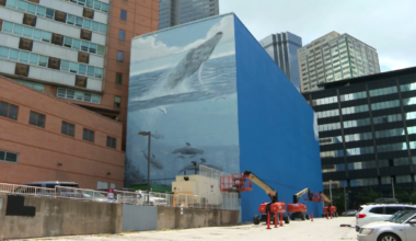 Wyland sues FIFA over Dallas whale mural in federal court – NBC 5 Dallas-Fort Worth