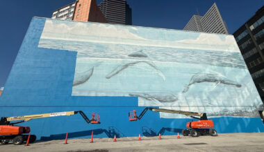 Dallas' Iconic Whale Mural Painted Over for World Cup Sparks Lawsuit