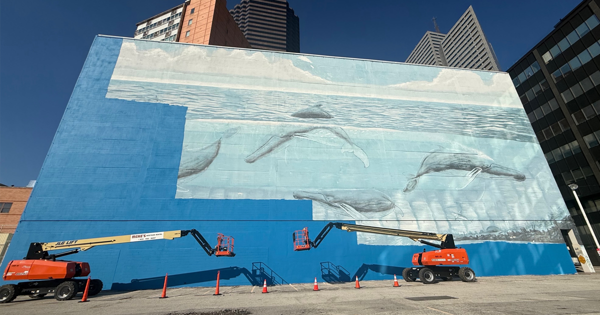Dallas' Iconic Whale Mural Painted Over for World Cup Sparks Lawsuit