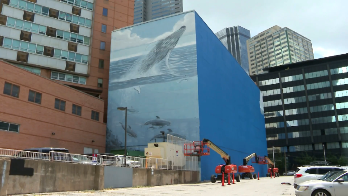 Wyland sues FIFA over Dallas whale mural in federal court – NBC 5 Dallas-Fort Worth