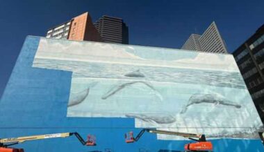 Artist sues FIFA for $25M over destroyed Dallas whale mural