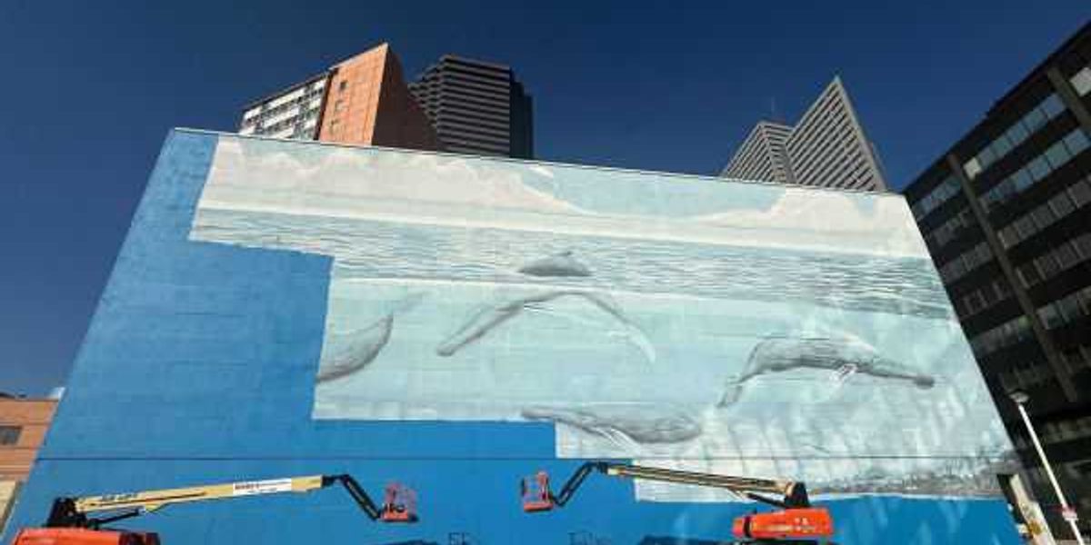 Artist sues FIFA for $25M over destroyed Dallas whale mural