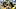 It could be an either/or situation with Raleek Brown and Hollywood Smothers It could be an either/or situation with Raleek Brown and Hollywood Smothers