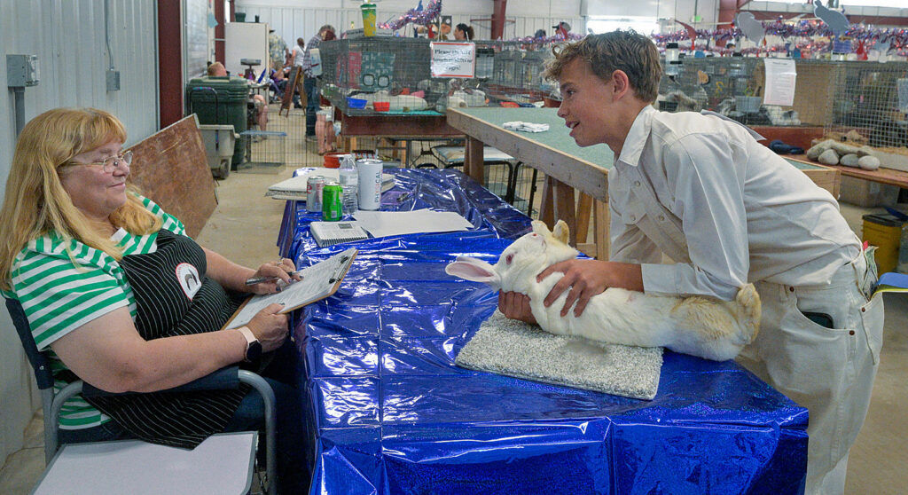 Luke Schossow talks to one of the rabbit judges, Connie Hopkins, about his very large white rabbit named Winter at the El Paso County Fair on Sunday, July 12, 2026. The El Paso County Fair will continue in Calhan through July 18. (The Gazette, Jerilee Bennett)