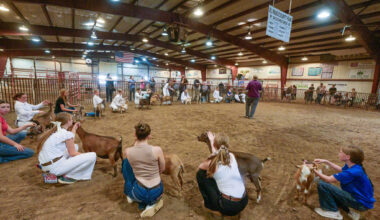 El Paso County Fair is ‘a fun slice of Americana’