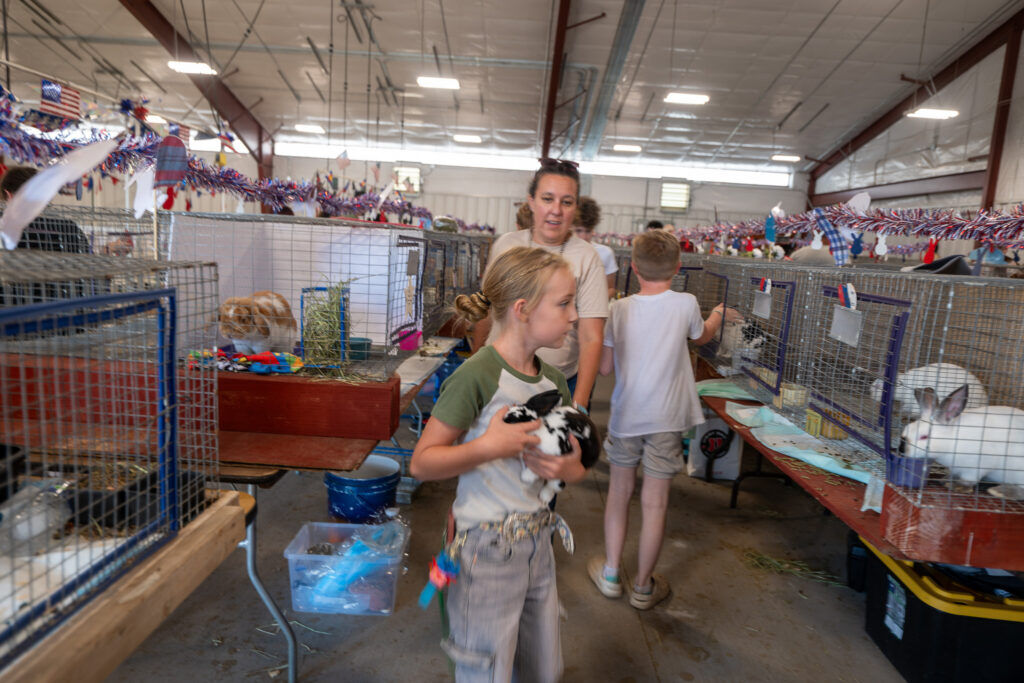 Rabbits that are raised and care for by young people are judged at the annual El Paso County Fair in Calhan on Sunday, July 12, 2026. The fair continues through July 18. (The Gazette, Jerilee Bennett)