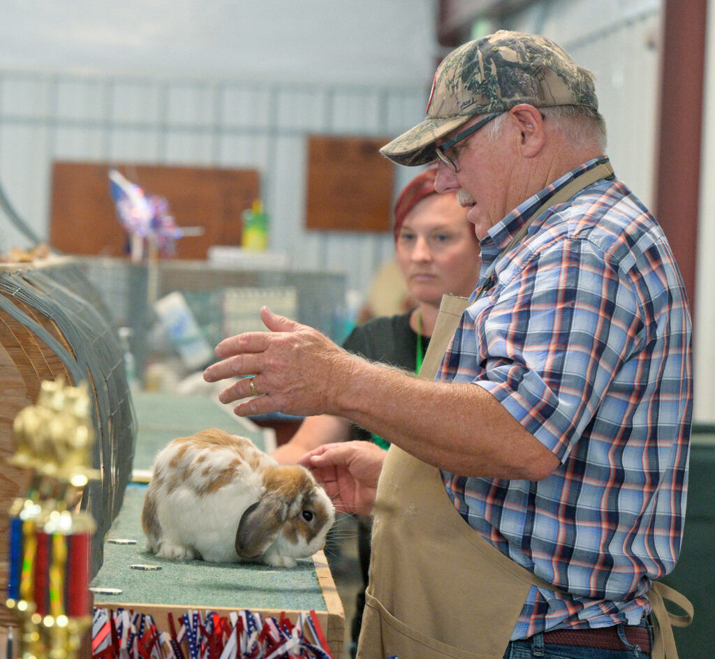 Ron Hopkins judges rabbits at the annual El Paso County Fair in Calhan on Sunday, July 12, 2026. The fair continues through July 18. (The Gazette, Jerilee Bennett)