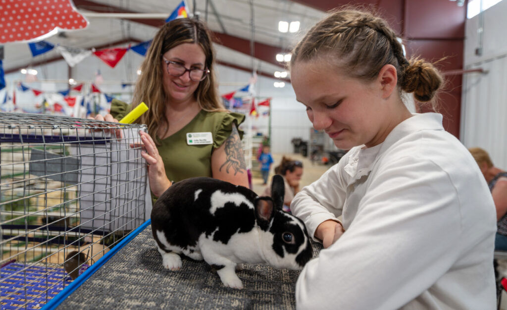 Rabbits that are raised and care for by young people are judged at the annual El Paso County Fair in Calhan on Sunday, July 12, 2026. The fair continues through July 18. (The Gazette, Jerilee Bennett)