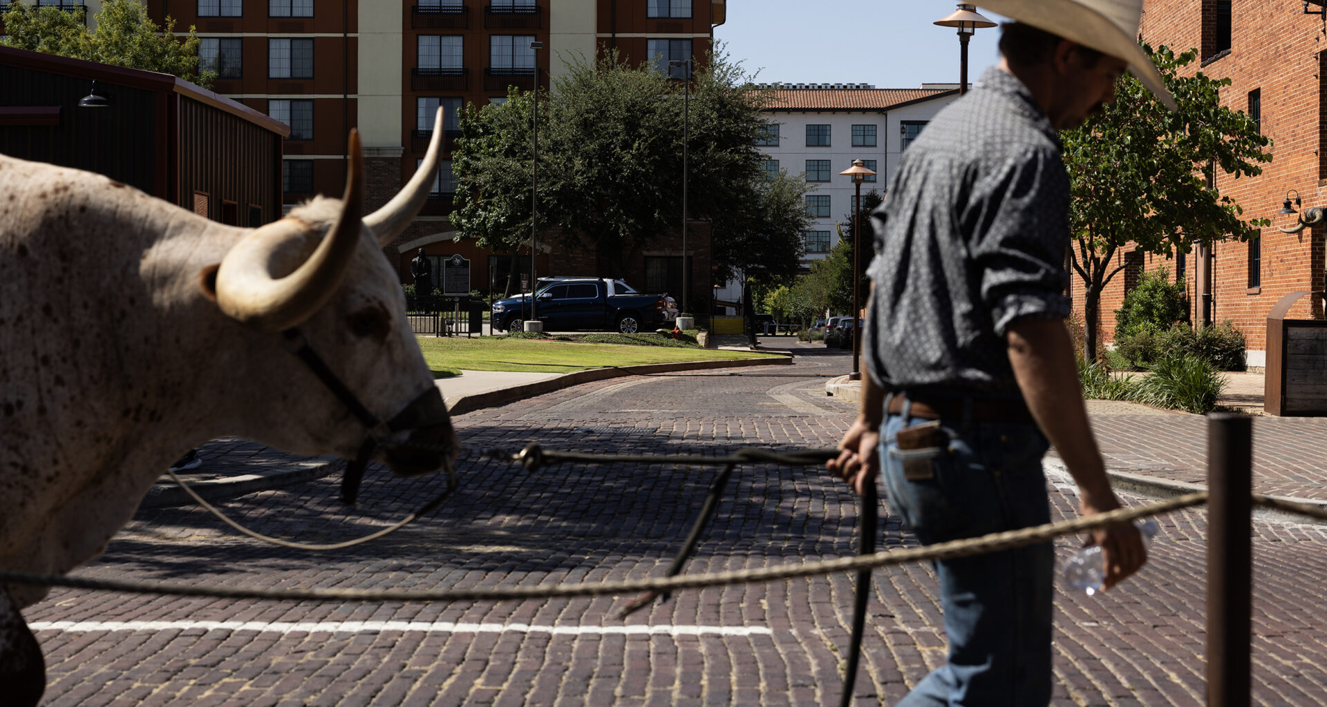 Weekend Worthy: Say howdy as cowboys parade through Stockyards