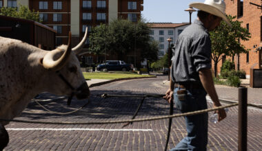Weekend Worthy: Say howdy as cowboys parade through Stockyards