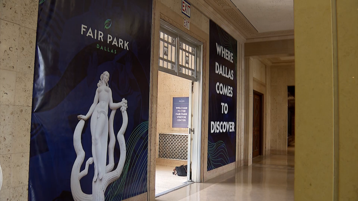 Dallas Museum of Natural History will open every Sunday – NBC 5 Dallas-Fort Worth